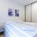Apartment Blue Monstera