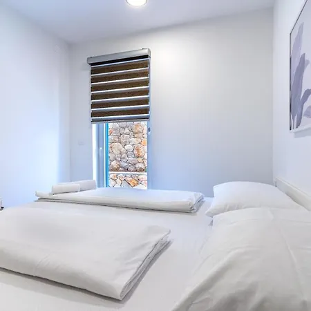 Blue Monstera * Cres