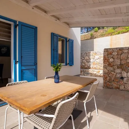 Blue Monstéra Cres